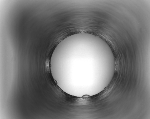 X0000096680238200802051036