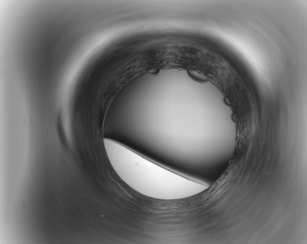 X0000096680239200802051036
