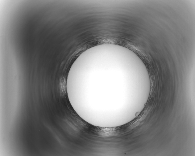 X0000096680240200802051036