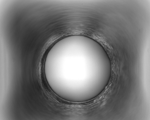X0000096680242200802051035