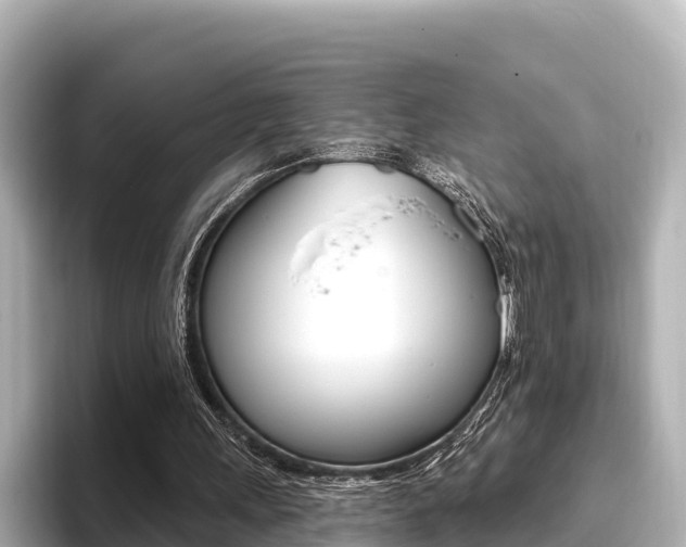 X0000096680243200802051035