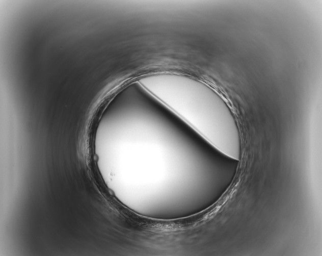 X0000096680245200802051035
