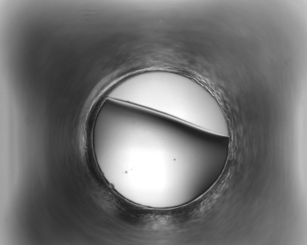 X0000096680247200802051035