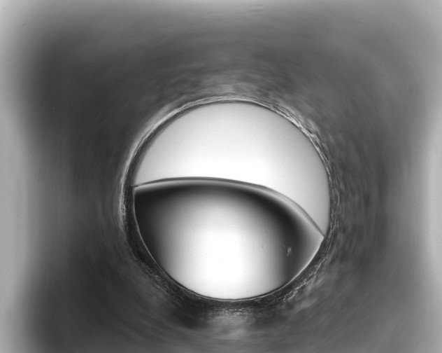 X0000096680248200802051035