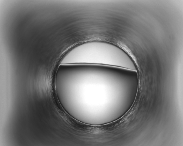 X0000096680249200802051035