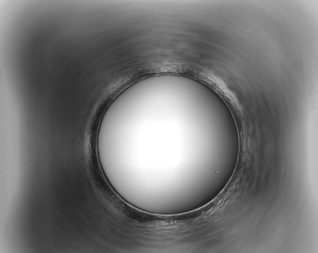 X0000096680250200802051035