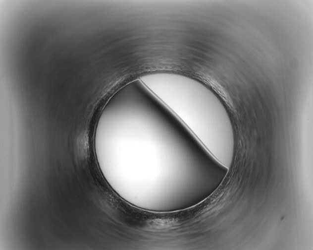 X0000096680251200802051035