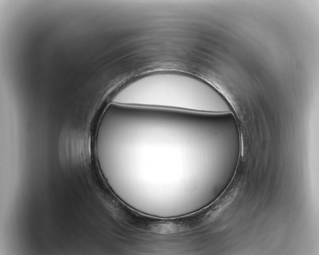 X0000096680253200802051035