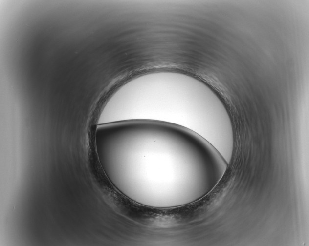 X0000096680256200802051035