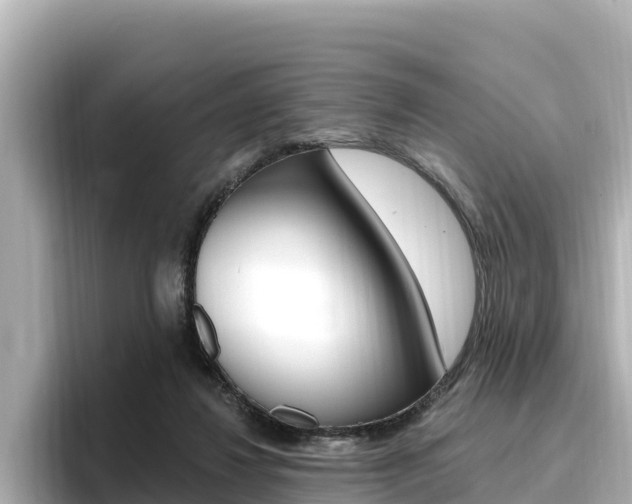 X0000096680260200802051035