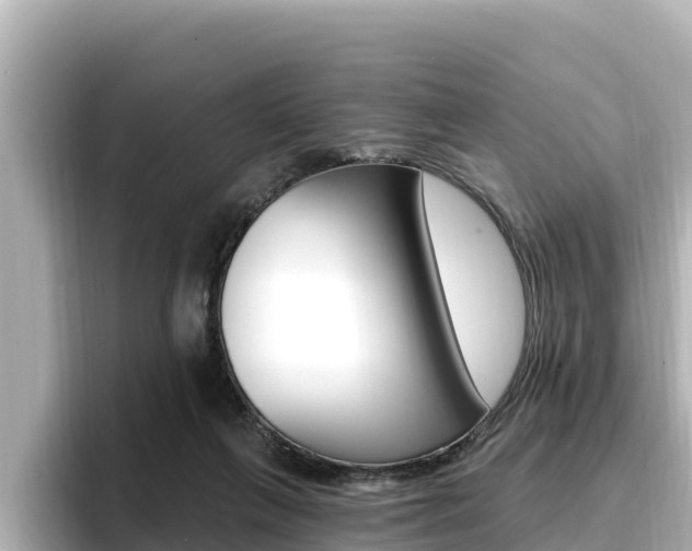 X0000096680263200802051036