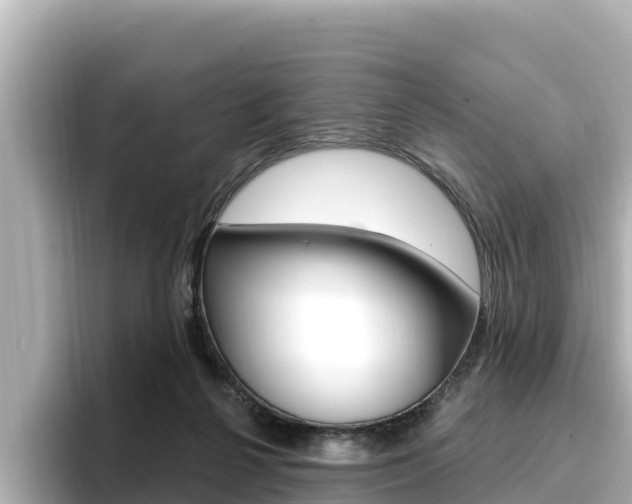 X0000096680264200802051036