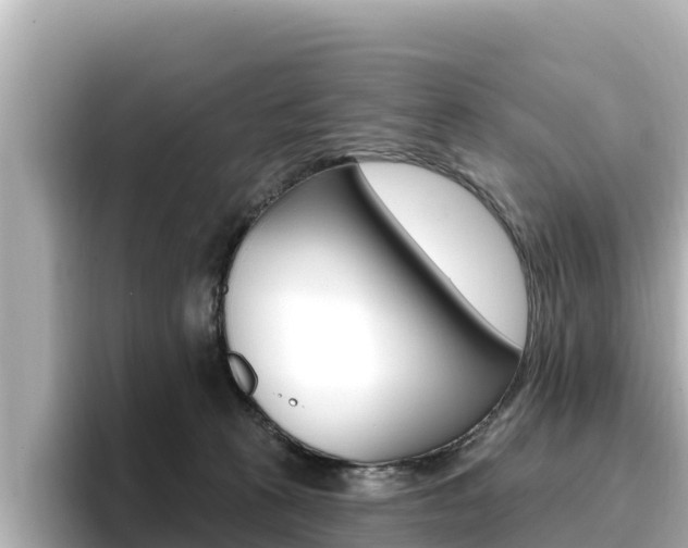 X0000096680273200802051036