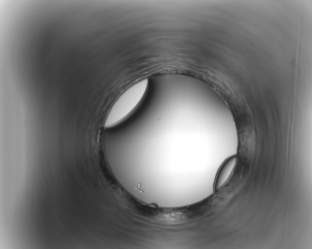 X0000096680278200802051036