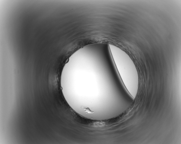 X0000096680279200802051036