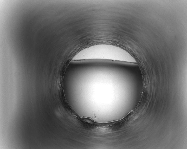 X0000096680280200802051036
