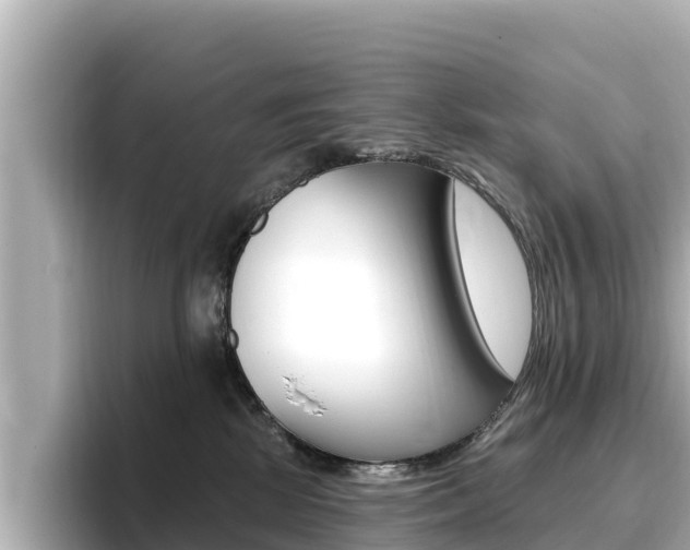 X0000096680281200802051036