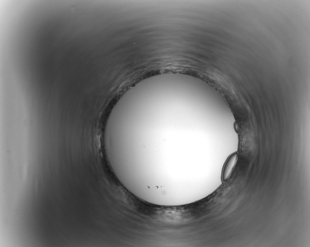 X0000096680282200802051036