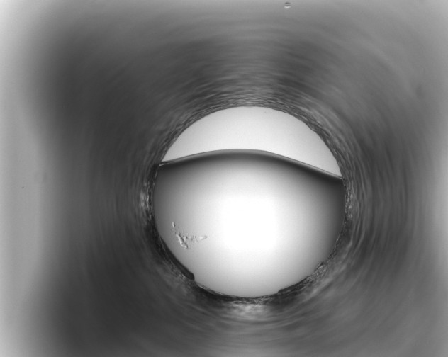 X0000096680284200802051036