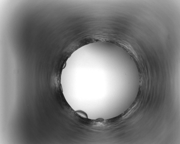X0000096680285200802051036