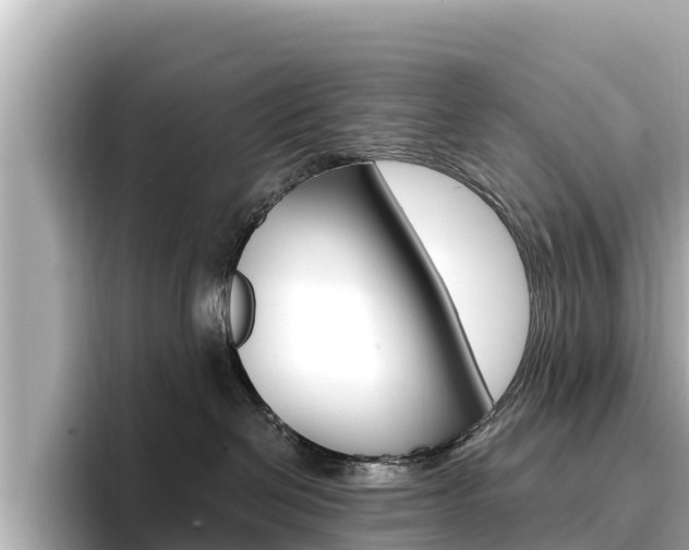 X0000096680286200802051036