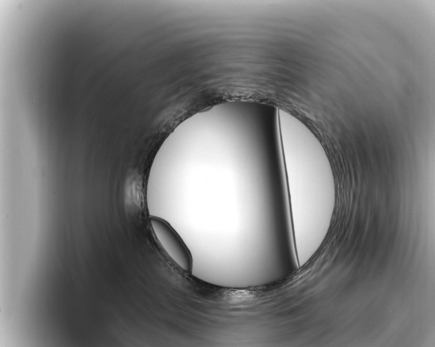 X0000096680287200802051036