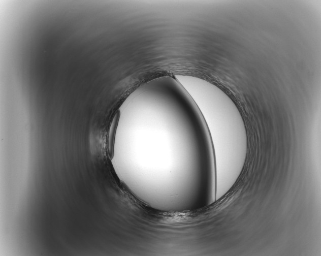 X0000096680288200802051036