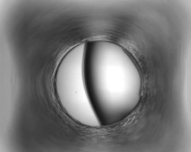 X0000096680289200802051035