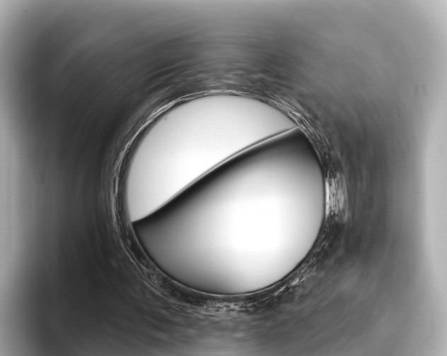 X0000096680291200802051035