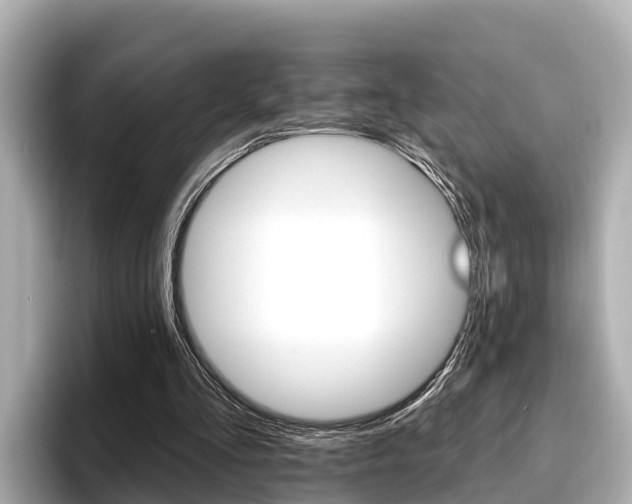 X0000096680293200802051035