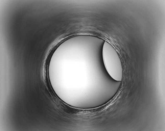 X0000096680294200802051035