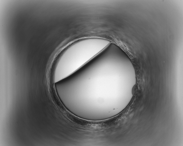 X0000096680295200802051035
