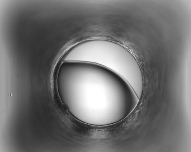 X0000096680296200802051035