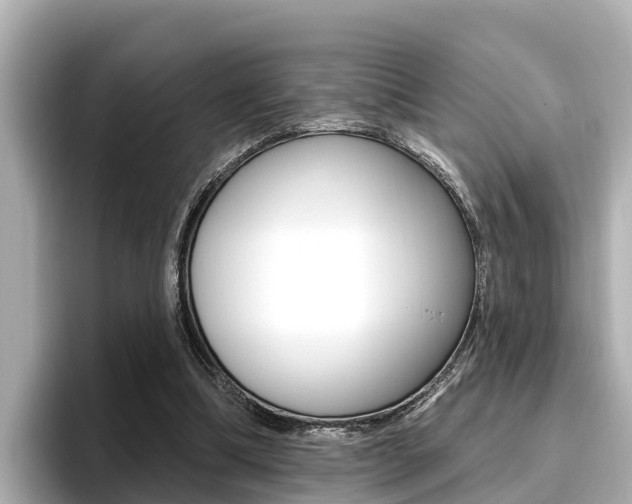 X0000096680298200802051035