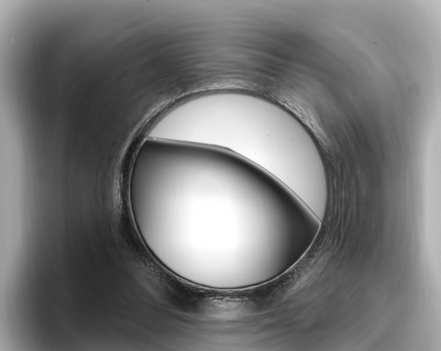 X0000096680300200802051035