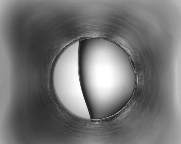 X0000096680301200802051035