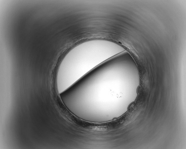 X0000096680303200802051035