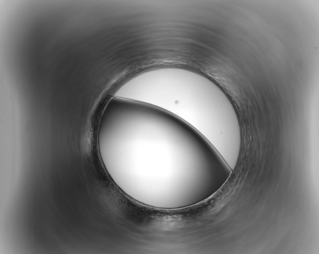 X0000096680304200802051035