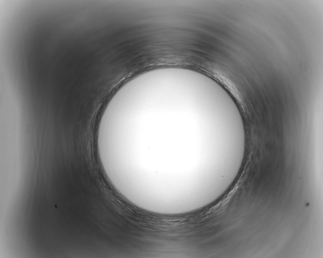 X0000096680305200802051035