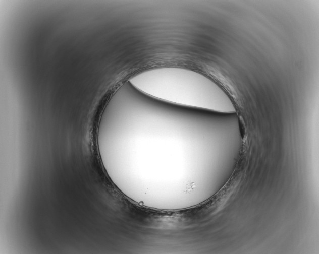 X0000096680306200802051035