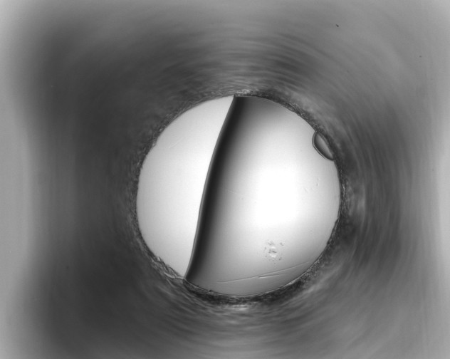 X0000096680307200802051035