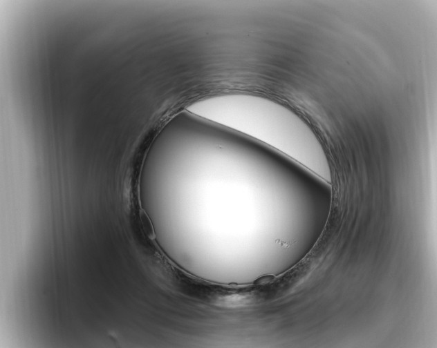 X0000096680312200802051035