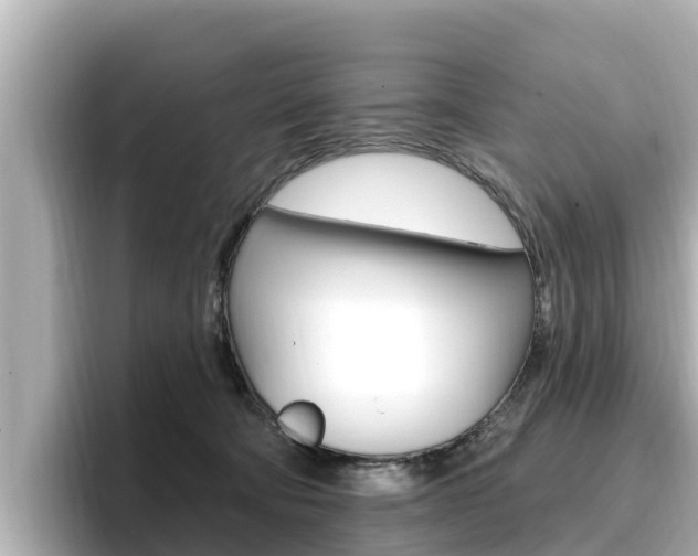 X0000096680322200802051035