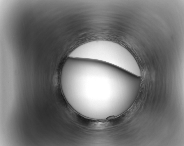 X0000096680323200802051035