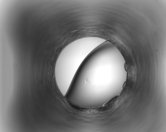 X0000096680327200802051035