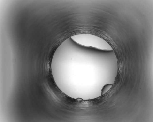 X0000096680330200802051035
