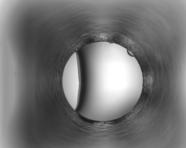 X0000096680331200802051035