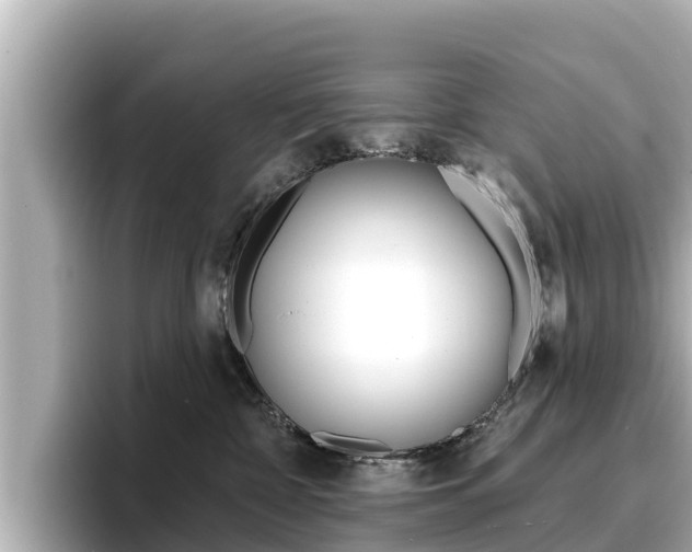 X0000096680332200802051035