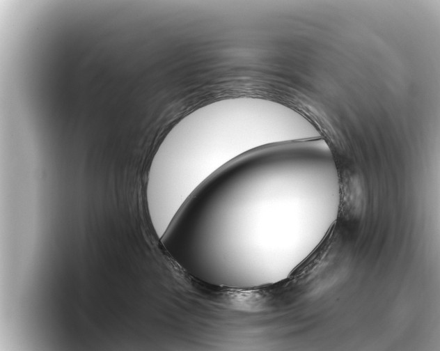 X0000096680333200802051035