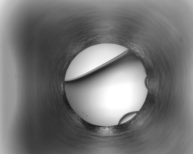 X0000096680335200802051035